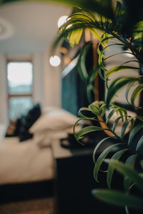 Penthouse Noir - Wyndale Living - Central Bham 2Br Birmingham Extérieur photo